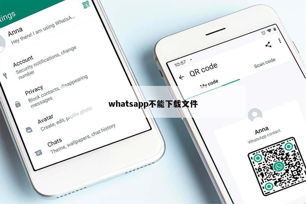 whatsapp不能下载文件